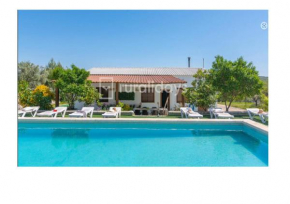 Villa Dehesa Olive Lucena